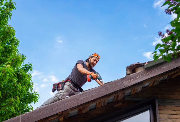 Best Gutter Installation and Repair  in Hamlin, TX